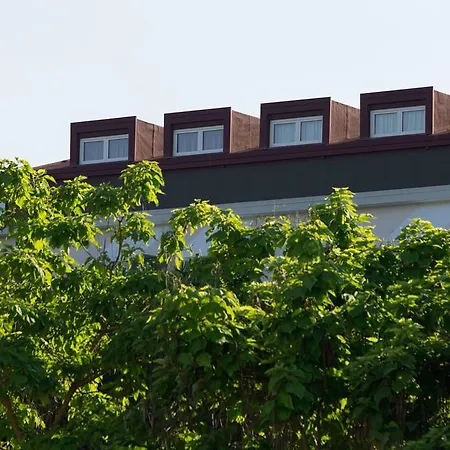 Harvey & Otel