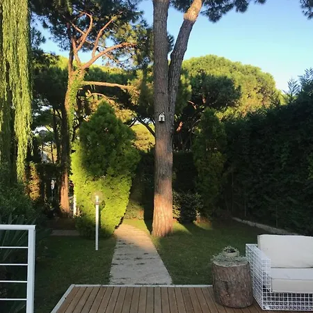 Harvey & Hotel Lido di Jesolo